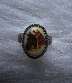 Image of Rope & Ride Ring