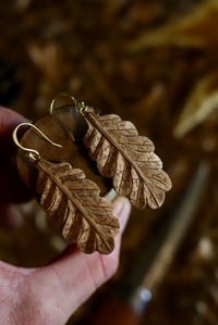 Image 3 of Oak leaf Earrings-