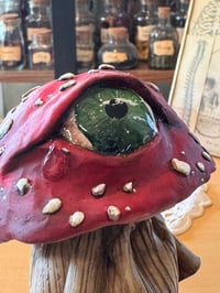 Image 11 of Mysterious Mushrooms