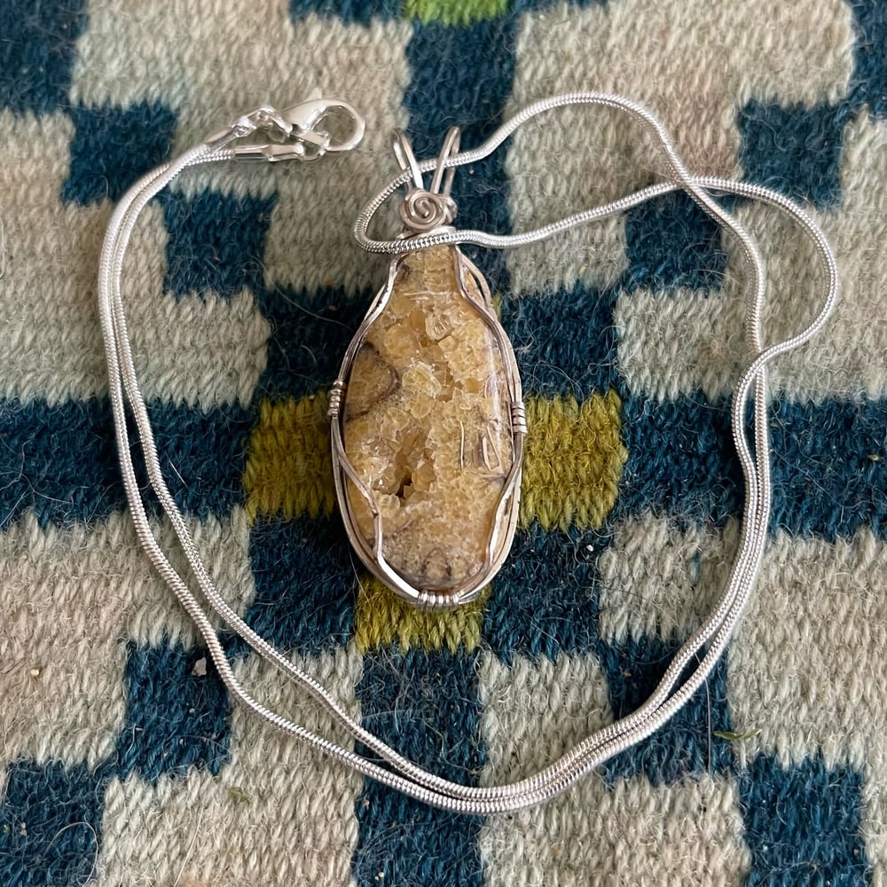 Baculite Section Double Cabochon Pendant 