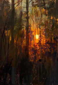Sunset through woods 