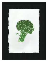 Image 5 of Broccoli Floret