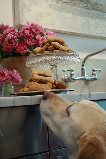 Image of Bailey's Dog Biscuits