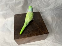 Image 17 of Handmade Custom Engraved Indian Ring Neck Parrot Urn Handpainted Pet Portrait