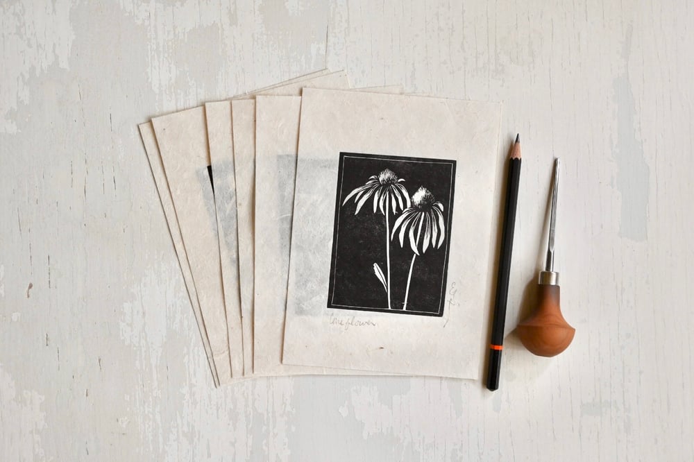 Coneflower