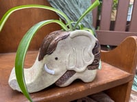 Image 3 of Curly 'Bonnie' Spider Plant in Resin Elephant