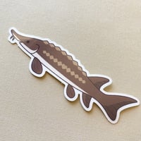 Image 2 of Sturgeon Sticker