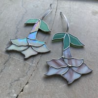 Image 2 of Datura Flower