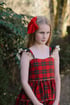 Merry dress Image 4