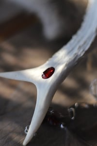 Image 2 of Suncatcher - Corno di capriolo e Granato