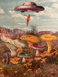 Mushroom abduction 