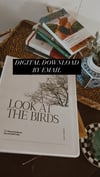 LOOK AT THE BIRDS -DIGITAL-SCRIPTURE STUDY