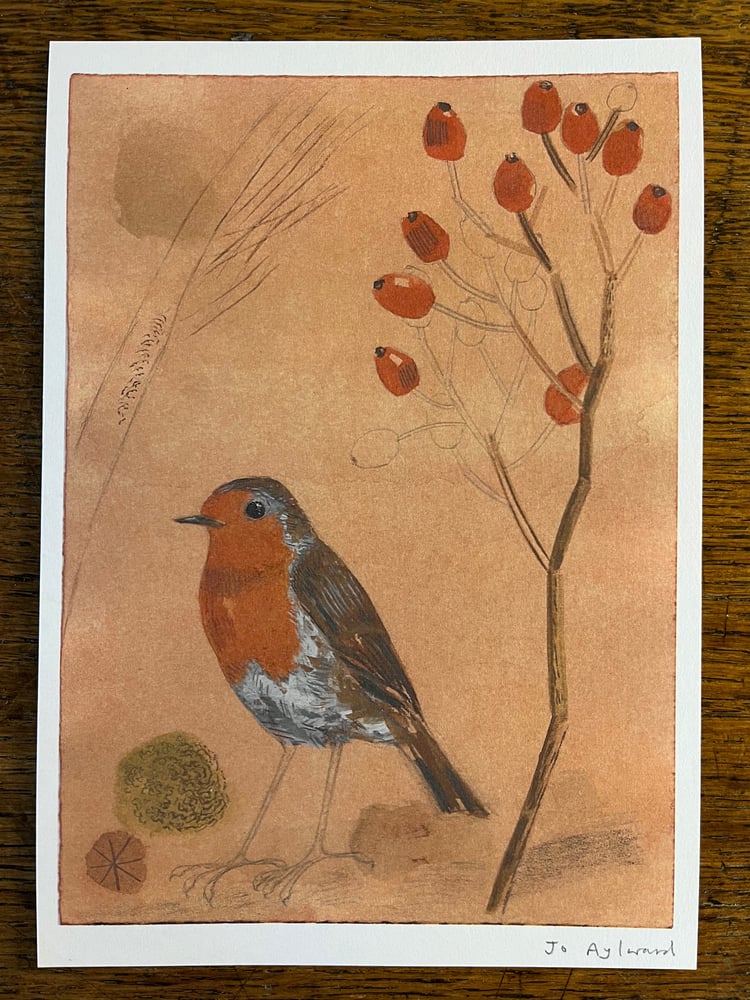Image of Robin and rosehip giclee print 