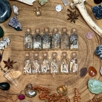 Image 1 of Mini Oddity Jars