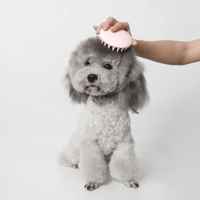 Image 5 of Pet Massage Comb – Waterproof, Durable & Easy to Carry