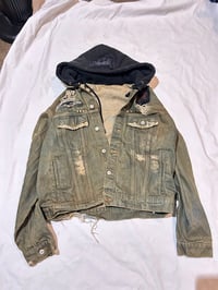 Image 1 of nightcrawl (L)