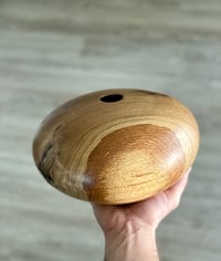 Image 5 of Oak Wood Hollow Form - Thin