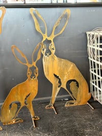 Image 6 of Harolds Hare