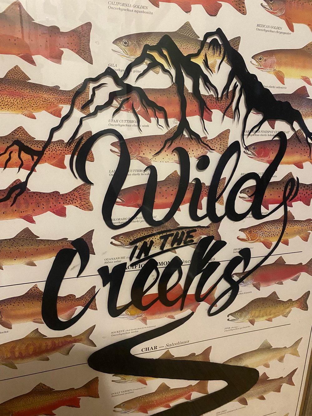 Wild ID 