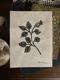 Grandview Bell Flower