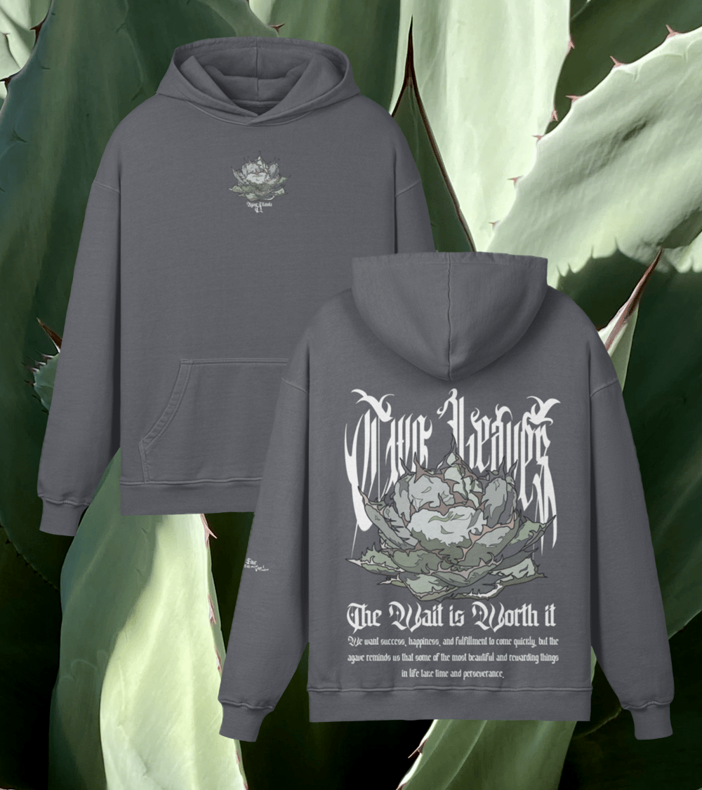 Image of AGAVE
