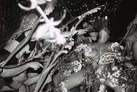 Poster of ‘Grief Cum’ Performance At The Bearded Tit Climax