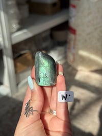 Image 23 of CHOOSE YOUR OWN MINI LABRADORITE FREEFORM -MADAGASCAR-