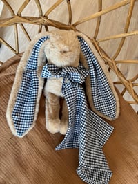 Image 2 of DOUDOU ET SON LANGE VICHY MARINE