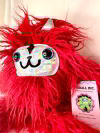 Image 5 of Cat with red wavy fur 