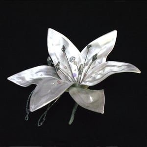 Image of R45 White Lily
