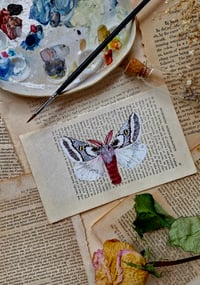 Image 1 of Life in Old Pages Insect n. 60 Hemileuca tricolor