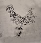 Image of Bantam Rooster