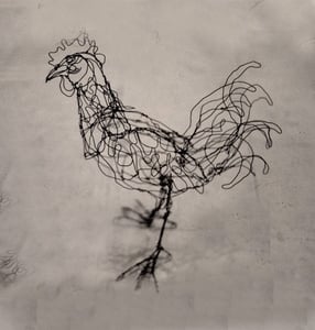 Image of Bantam Rooster