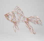 Image of little goldfish