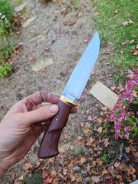 Image 1 of carbon hunter 