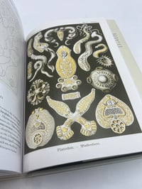 Image 4 of The Art and Science of Ernst Haeckel. 45th Ed.