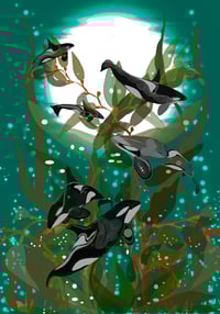 Postcards From July + We Saw Orcas On That Trip