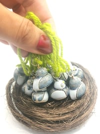 Image 4 of Baby Pigeon