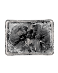 Image 4 of TRAY #3