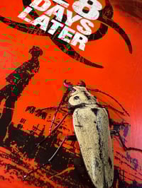 Image 2 of 28 days later