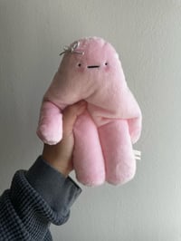 Image 1 of Blushing Bloog (pink) 