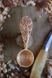 Image 1 of Oak Tree- Coffee Scoop