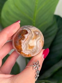 Image 5 of MEXICAN LACE AGATE SPHERE B