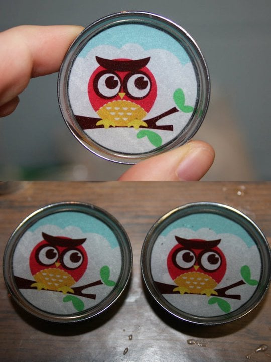 Image of Owl Plugs