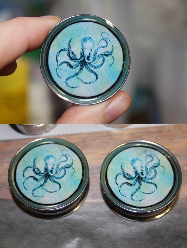 Image of Octopus Plugs