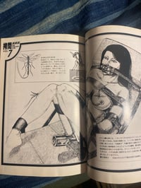 Image 3 of SM Spirits Aug 1988