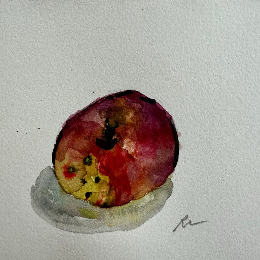 Image of Arkansas Black Apple I