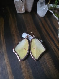 Image 4 of Butterfly Wing Earrings (yellow)