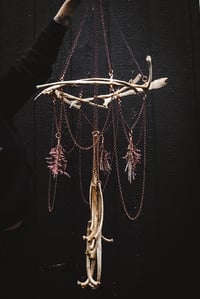 Image 1 of Rib Mobile 2