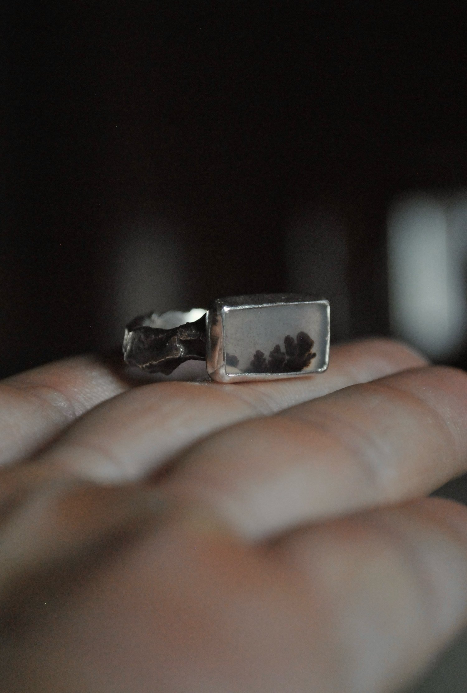 Image of Foresta d’inverno